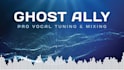 professionally tune, edit and mix your vocal