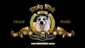 create the mgm roar intro video with your pet