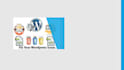 fix wordpress,css issue perfectly and revision available