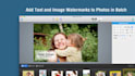 bulk watermarking videos for you