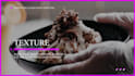 create a business promo video