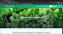 develop full stack websites with clean and secure code