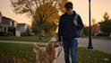 create ai generated videos for ads and promos