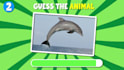 create quizzes, trivia, guessing videos for youtube
