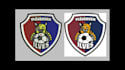 do embroidery digitize into dst emb pes file in  3 hour