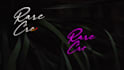 create a professional signature logo animation or name reveal