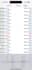 deliver profitable forex trading bot, forex trading robot, ea bot, trading robot