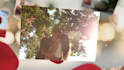 create a beautiful valentine video