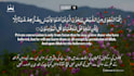 create beautiful quran recitation videos