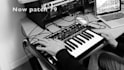 offer you dm halo bassline for your bass station ii