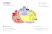 create professionally designed infographics