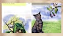 do children book design
