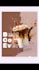 custom branded social media posts design to boost engagement