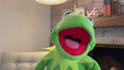 have kermit the frog record a video message or audio message