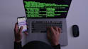 build your website with expert web development skills