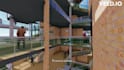 do architectural modeling and visualization
