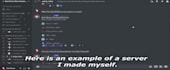 set up a professional discord server for your community