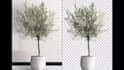 do photo background removal, cut out images, photo editing