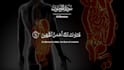 create beautiful quran recitation video with translation