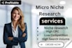 do profitable micro niche research for any business