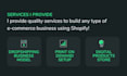 design and build a convertible dropshipping store