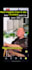 create funny, relatable video memes using viral trends and pop culture