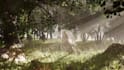 make 3d environment in unreal engine