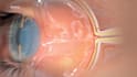 create custom medical and science animation video