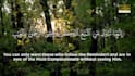 edit videos of quran recitation with subtitles,  translation