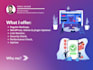 handle wordpress website maintenance, website manager