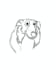 draw your pet in a cartoon digital style