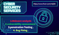 offer expert cybersecurity services ,  tackling projects, assessments and tasks