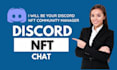 professionally be active and chat on your discord nft community server