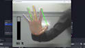 do data preprocessing and visualization, ai model, transformers, gan, CNN, lstm