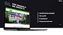 create a wordpress website following your needs