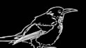 storyboard and animate digitally for your mv, game or video
