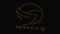 design your 3d metallic silver gold logo