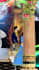 3d modeling, photoshop, etc