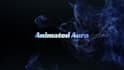 make a dynamic custom logo animation and video intro
