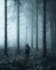 do adobe lightroom picture editing