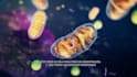 create a science and medical animation with visual effects