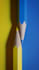 create cool 3d art for you