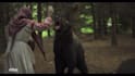 do professional rotoscoping, green screen remove, wire removal, compositing