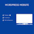 develop a professional wordpress website