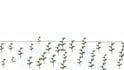 create professional stickman and stick figure animation