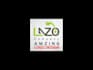 do 2 amazing logo designs