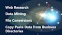 complete large data entry projects