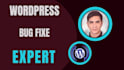 wordpress fix password reset, wordpress elementor fix errors