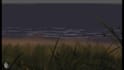 draw a wonderful animated background for a beautiful price