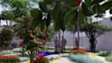 design professional landscape and garden plans